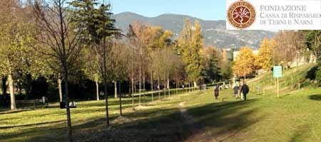 Parco Ciaurro