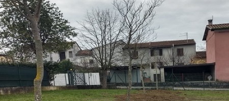 Scuola primaria R. Teofoli